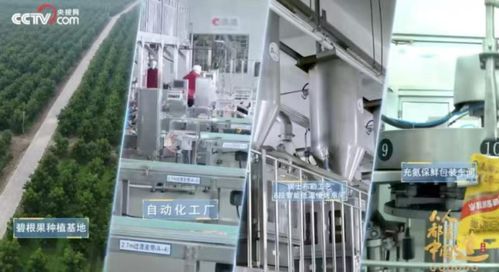 洽洽食品榮膺“十四五”雙項(xiàng)殊榮，樹(shù)立堅(jiān)果行業(yè)管理新標(biāo)桿