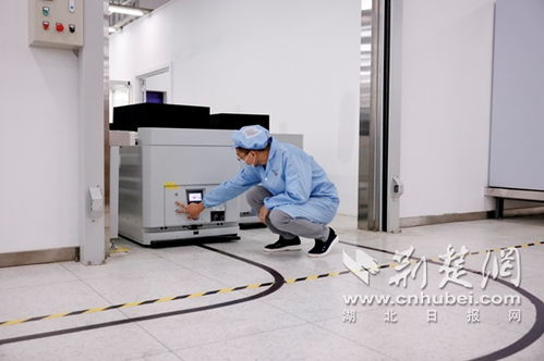 武漢電信與烽火通信攜手打造雙5G智慧工廠 開啟互聯(lián)網(wǎng)技術(shù)與設(shè)備銷售新篇章